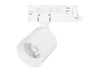 Светильник LGD-DYKE-4TR-R100-36W (38 deg, TRIAC)