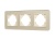 Рамка стеклянная FRM-OMALI-GS-3-GD Рамка стеклянная FRM-OMALI-GS-3-GD
