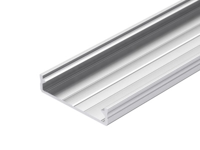 Профиль ALM-FLAT-S-2020 ANOD